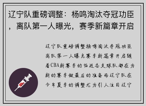 辽宁队重磅调整：杨鸣淘汰夺冠功臣，离队第一人曝光，赛季新篇章开启