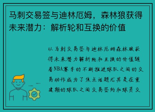 马刺交易签与迪林厄姆，森林狼获得未来潜力：解析轮和互换的价值